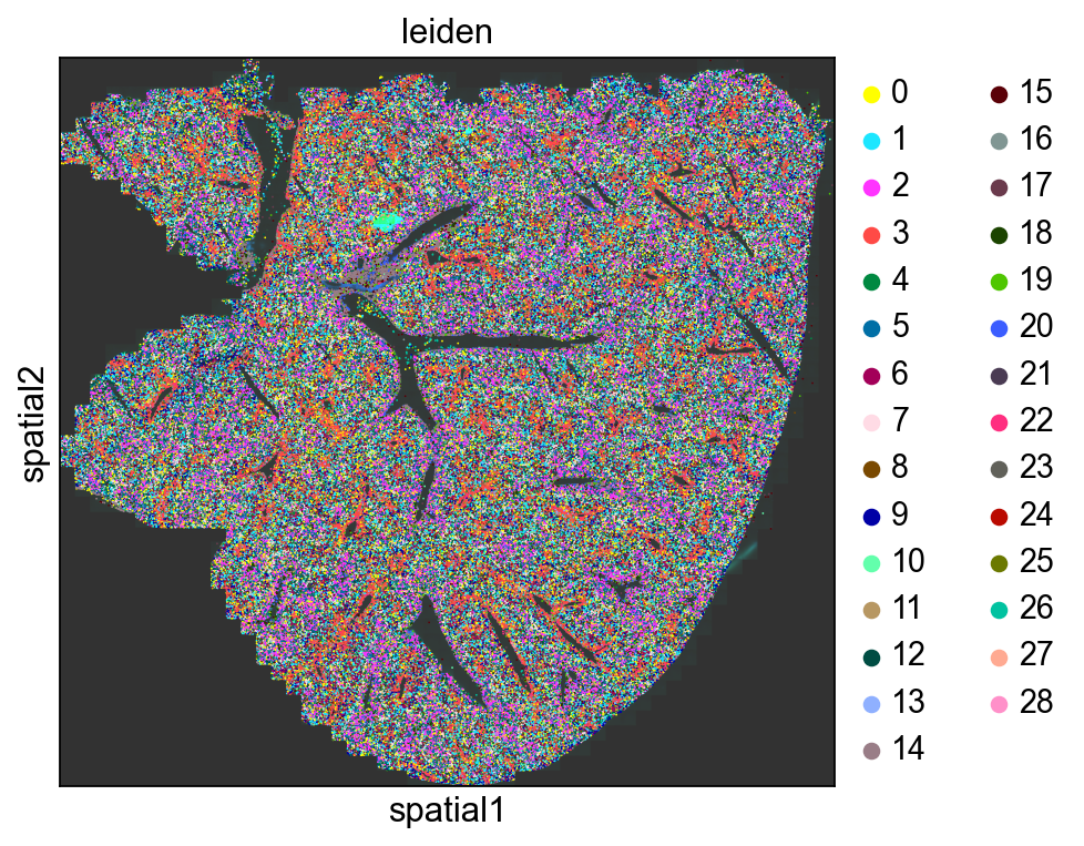 ../_images/notebooks_liver_demo_33_0.png